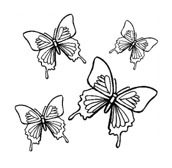 Dibujos De Mariposas Mariposapedia